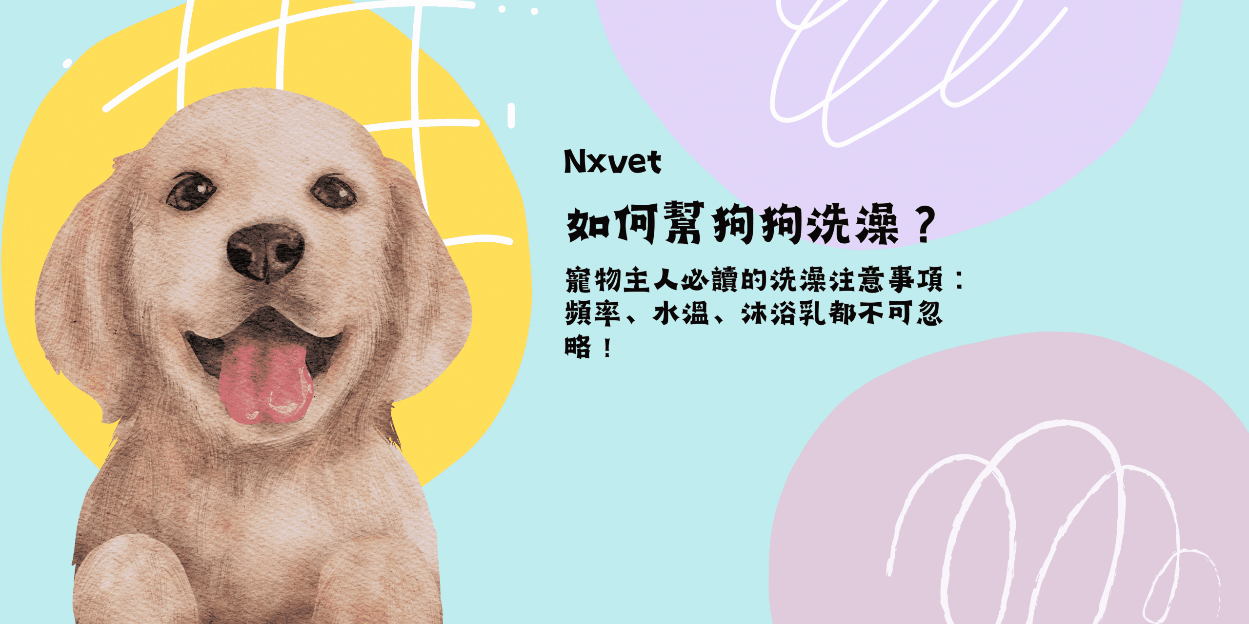 如何幫狗狗洗澡？狗狗飼主的必讀洗澡注意事項