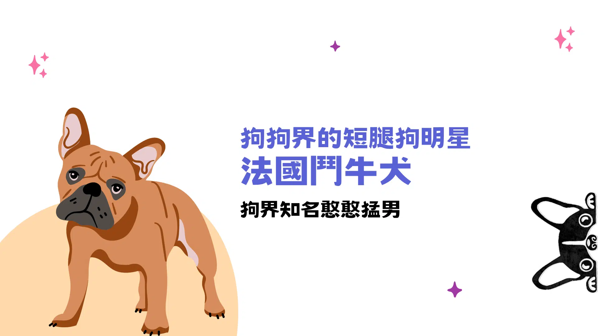 不是來自法國的法國鬥牛犬 – 狗狗界的短腿狗明星