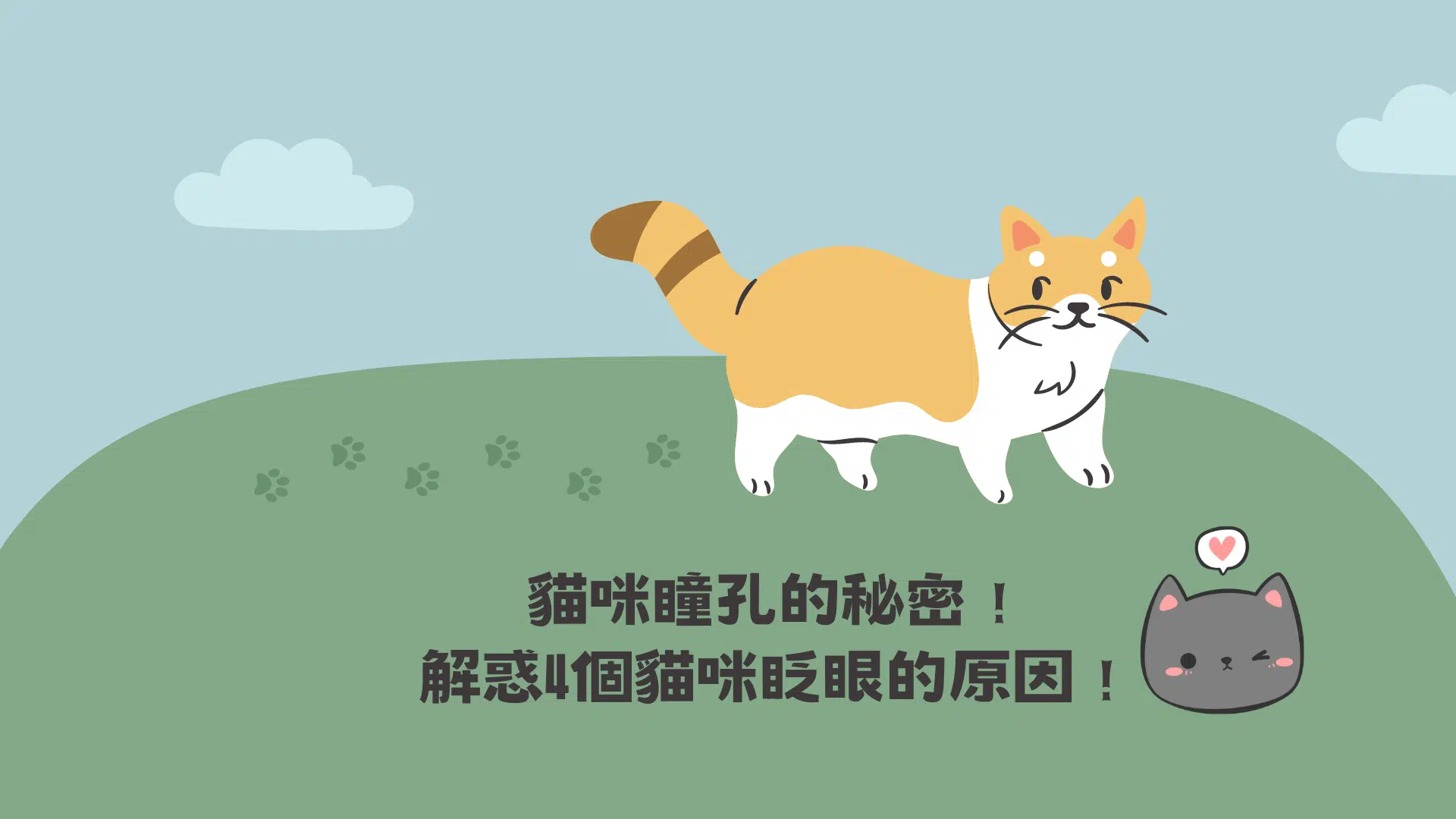 貓咪瞳孔的秘密！解惑4個貓咪眨眼的原因！