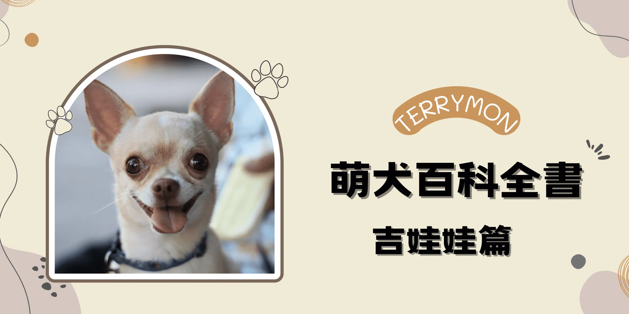 萌犬百科全書｜吉娃娃篇