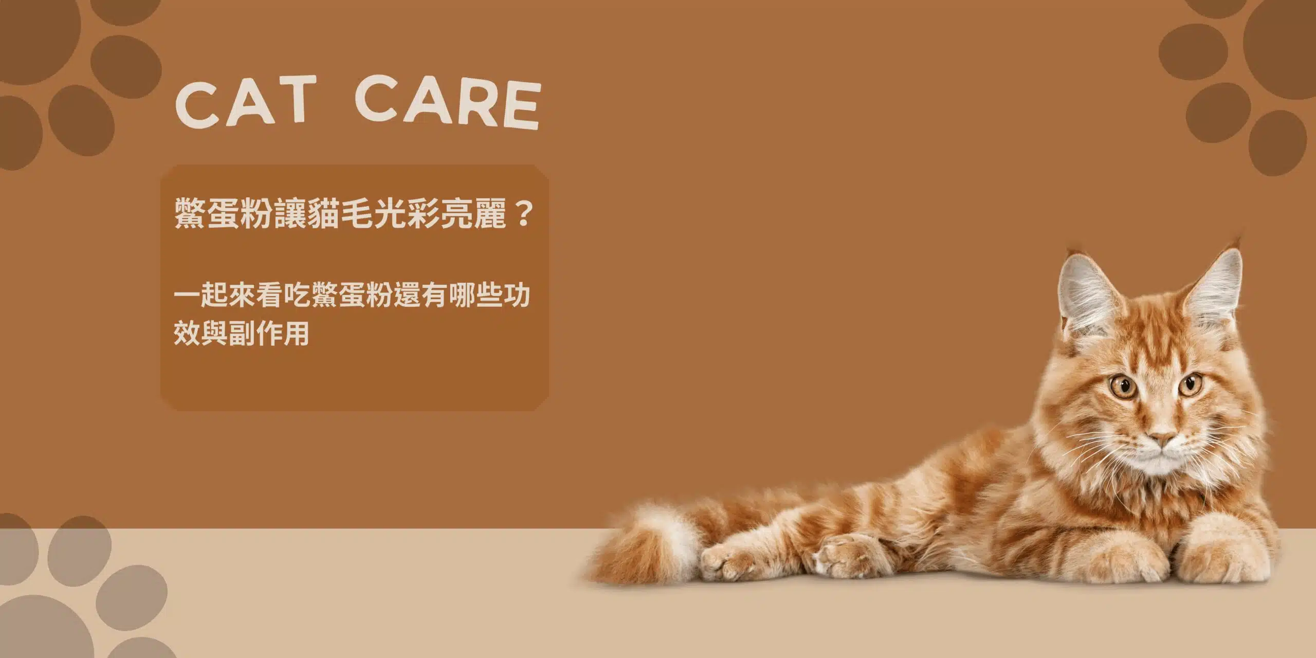 鱉蛋粉可以讓貓毛光彩亮麗？一起來看吃鱉蛋粉還有哪些功效與副作用