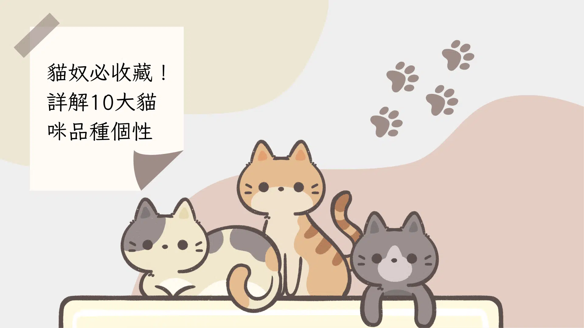 貓跳台懶人包解惑！挑選貓跳板的重點，為貓咪規劃最佳動線！