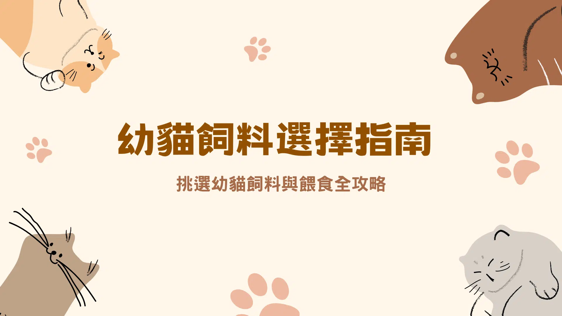 幼貓飼料選擇指南｜挑選幼貓飼料與餵食全攻略