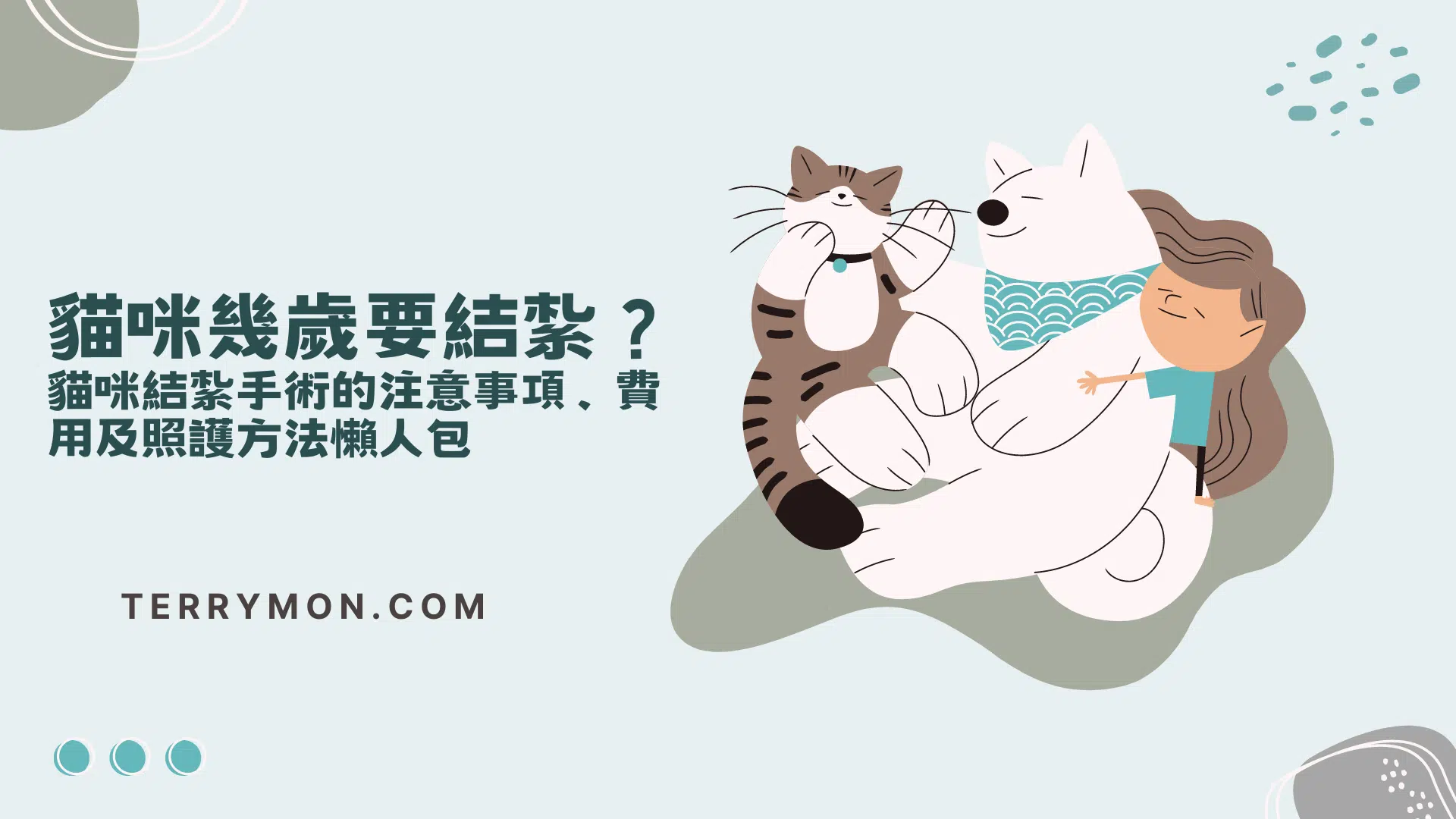 貓咪幾歲要結紮？貓咪結紮手術的注意事項、費用及照護方法懶人包