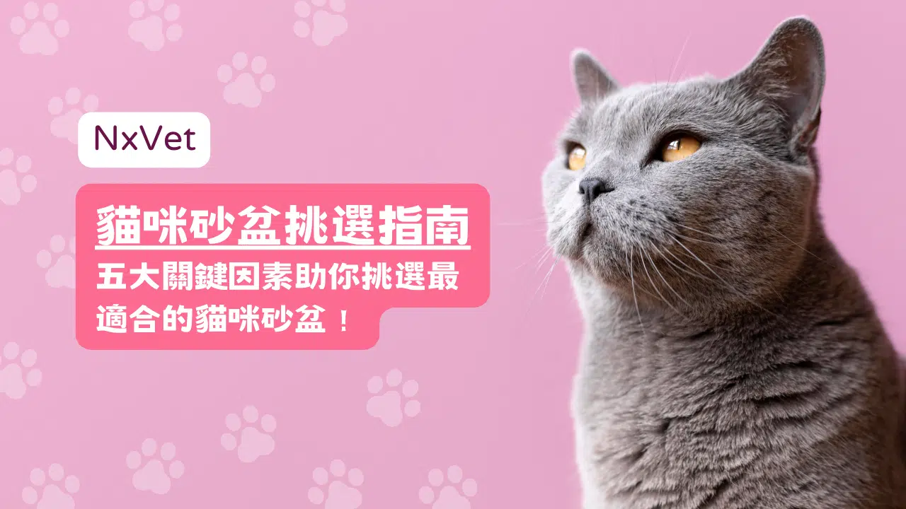 貓咪砂盆挑選指南 – 五大關鍵因素助你挑選最適合的貓咪砂盆！