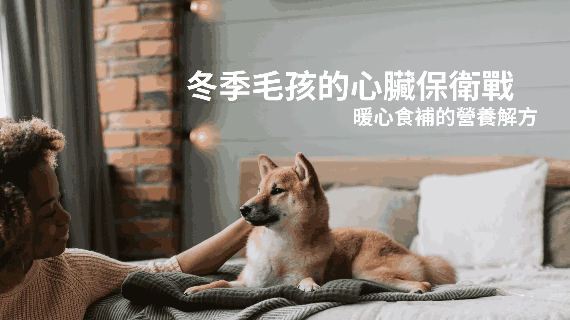 冬季毛孩的心臟保衛戰：暖心食補的營養解方！