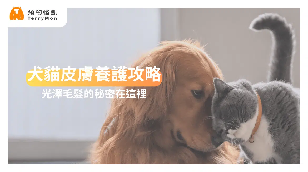 犬貓皮膚養護攻略：光澤毛髮的秘密！