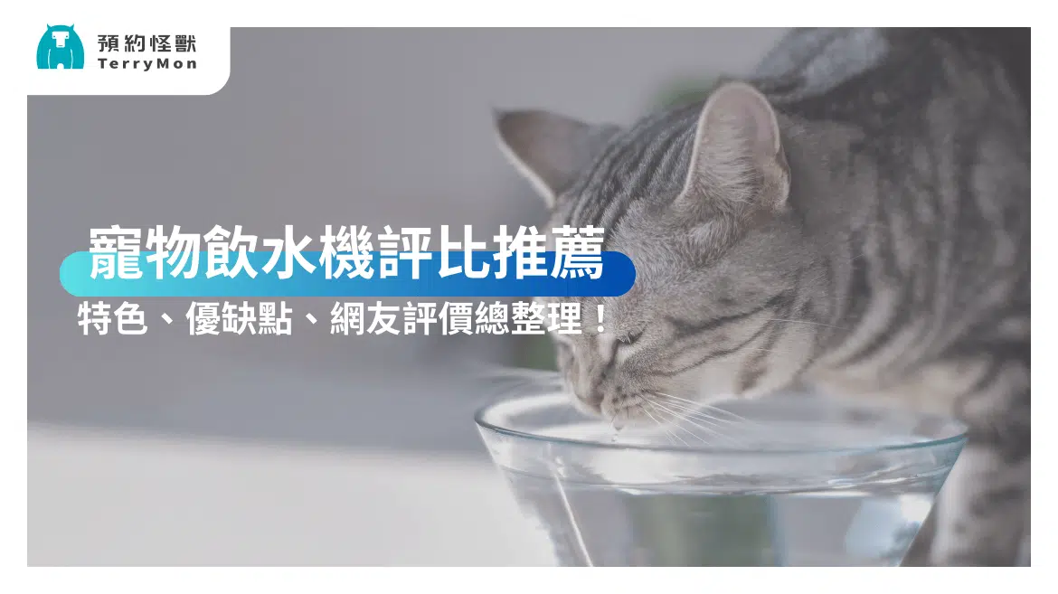 【2025 最新】熱門寵物飲水機評比推薦：特色、優缺點、網友評價總整理！