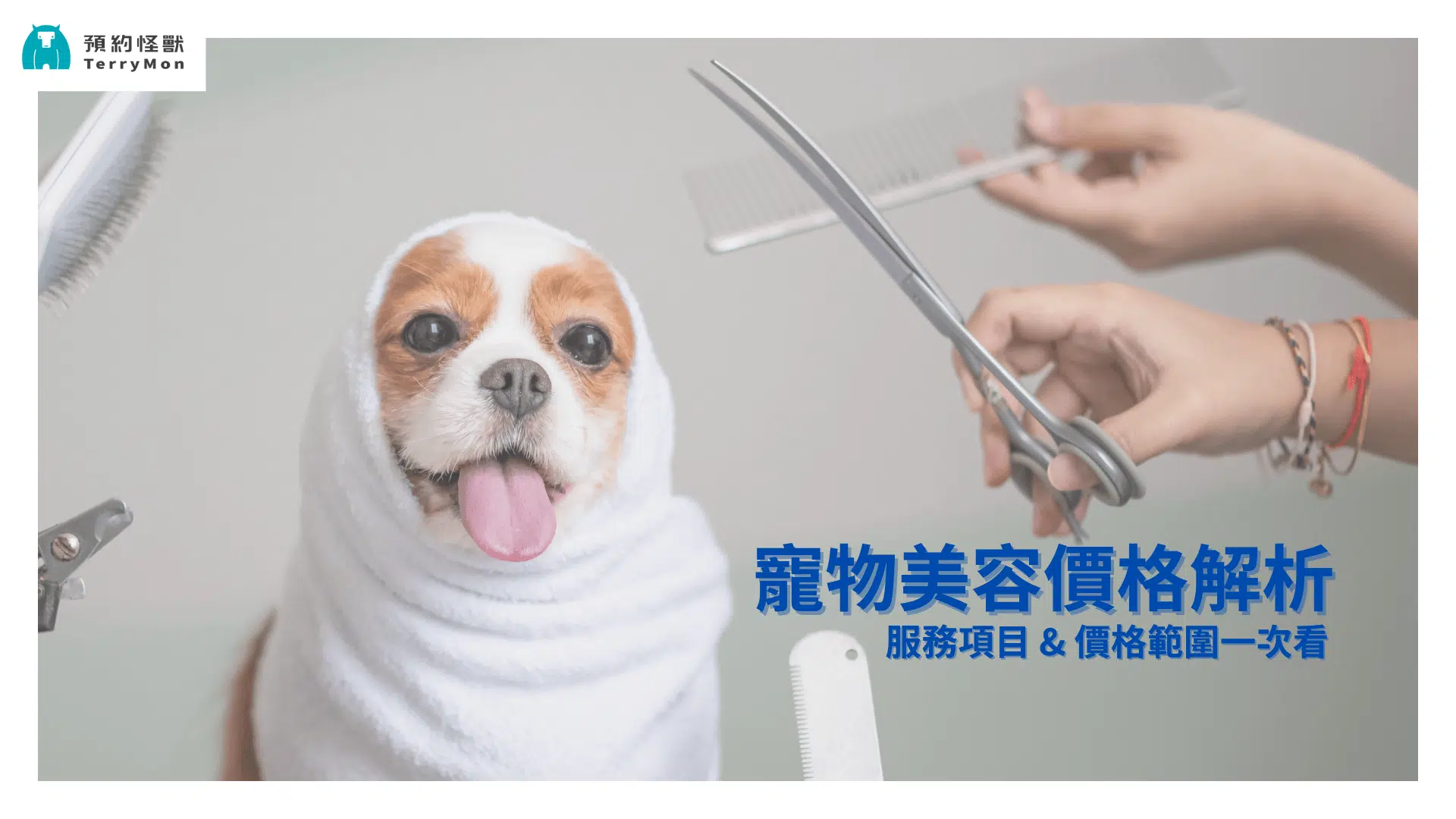 【寵物美容價格整理】洗澡、修剪、造型服務項目與價格範圍大解析！
