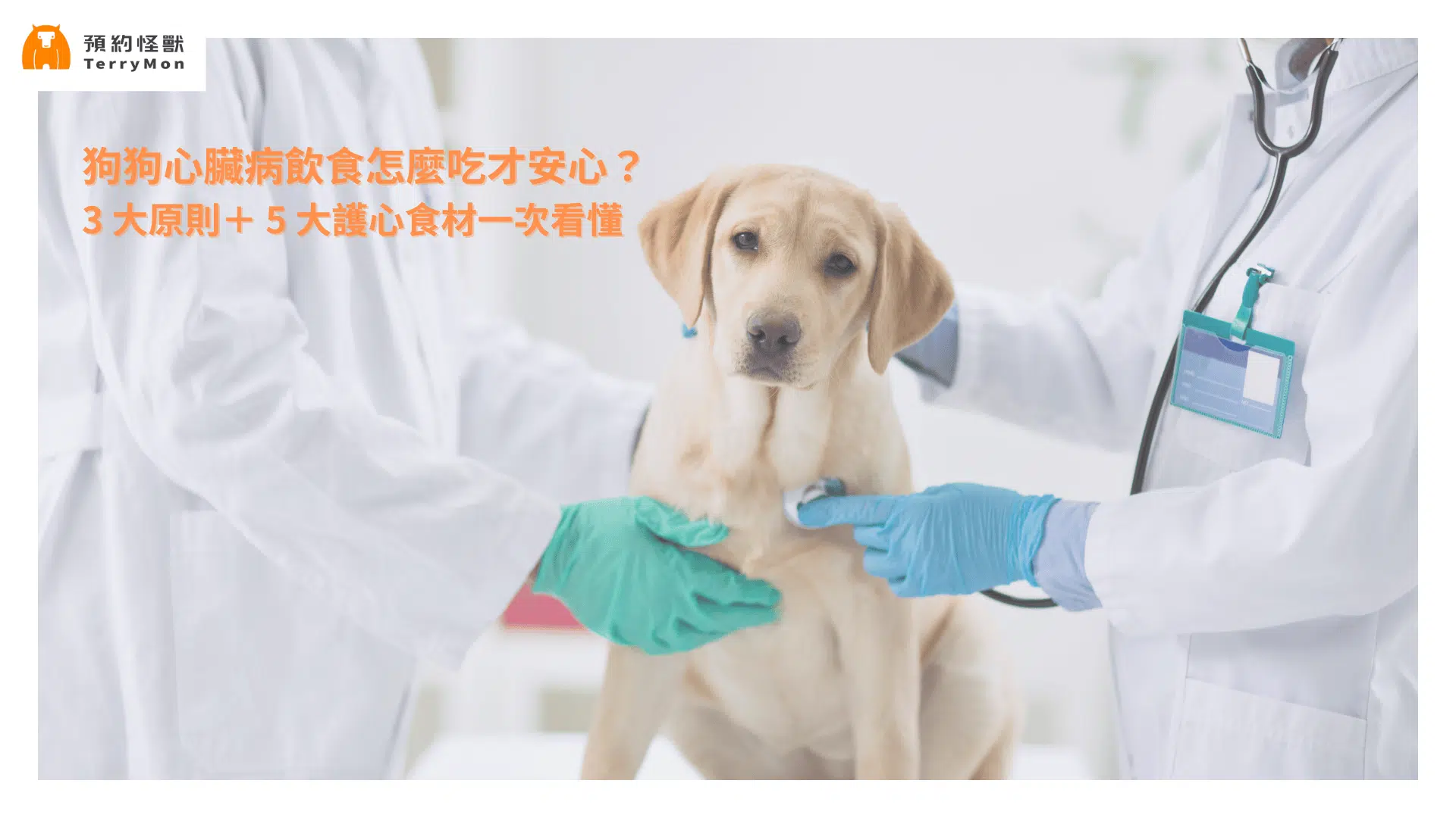 狗狗心臟病飲食怎麼吃才安心？3大原則＋5大護心食材一次看懂