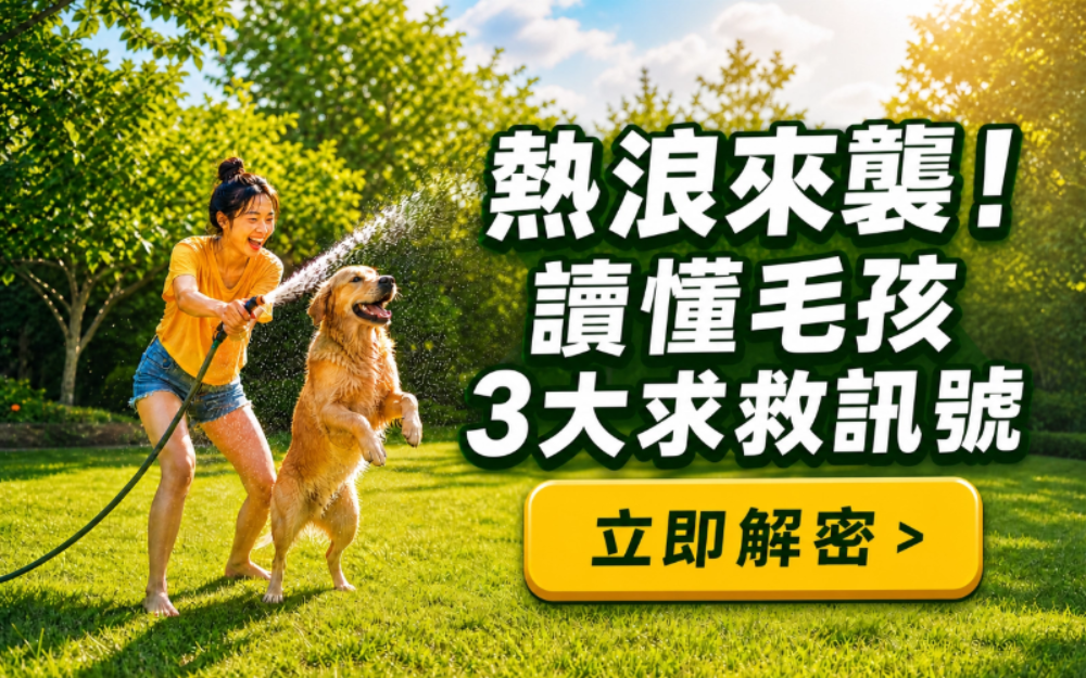 【毛爸毛媽真心話】初夏熱浪襲來！毛孩開不了口的 3 大求救訊號，你讀懂了嗎？