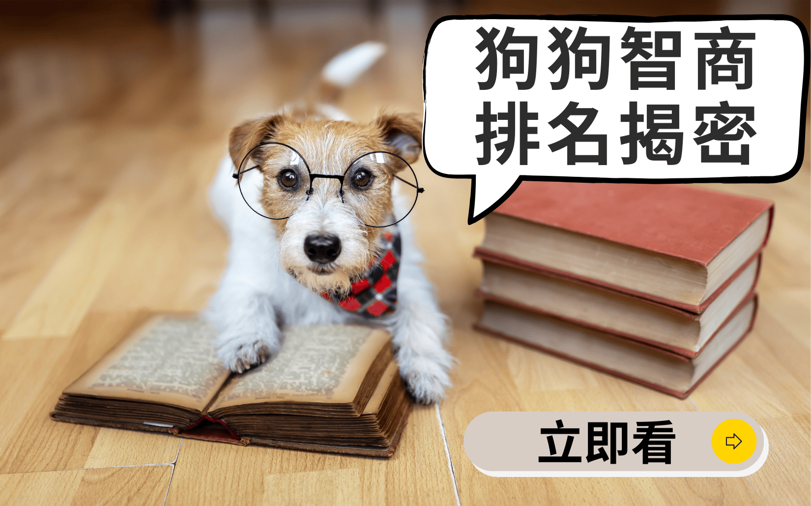 愛寵專區