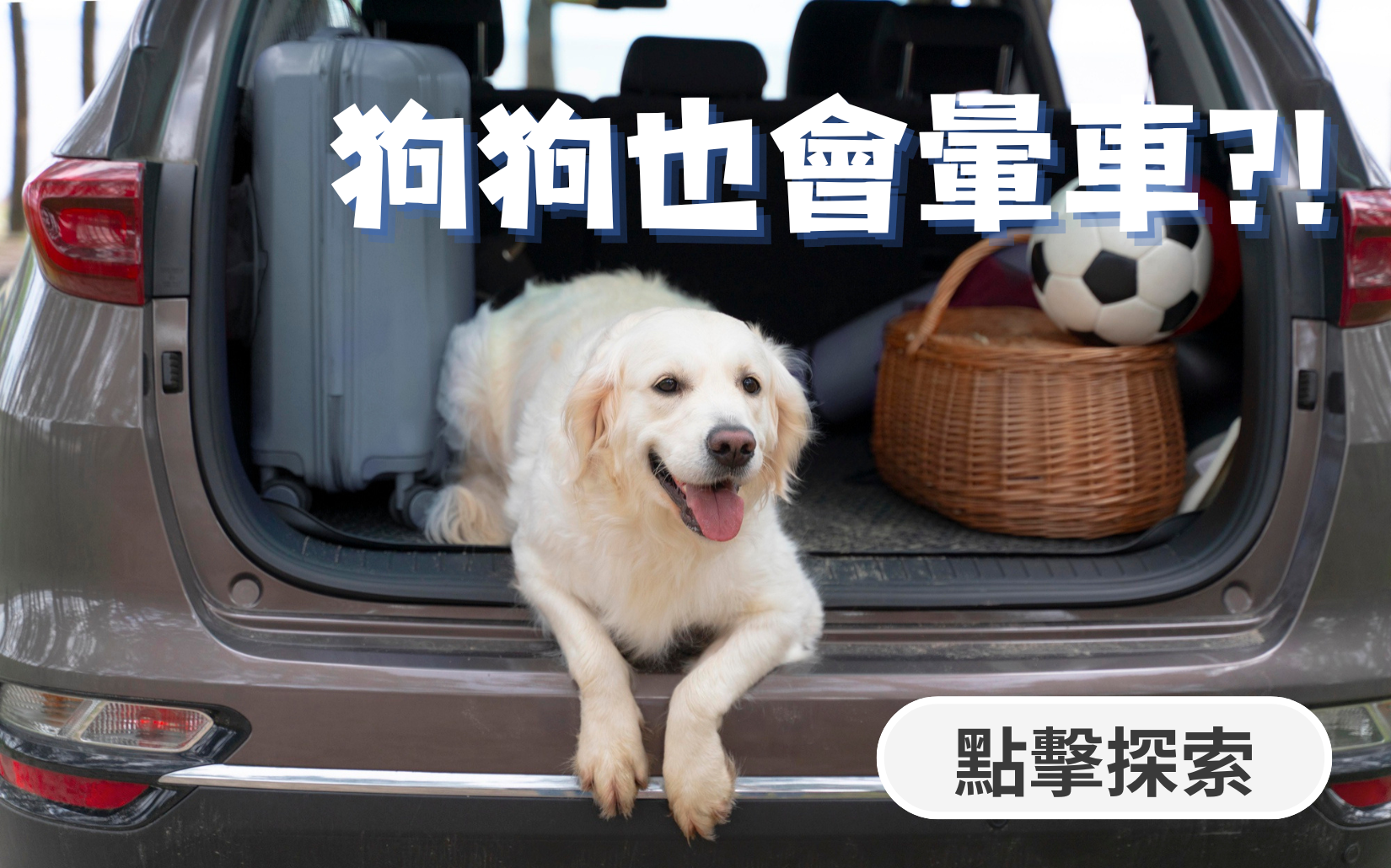 愛寵專區
