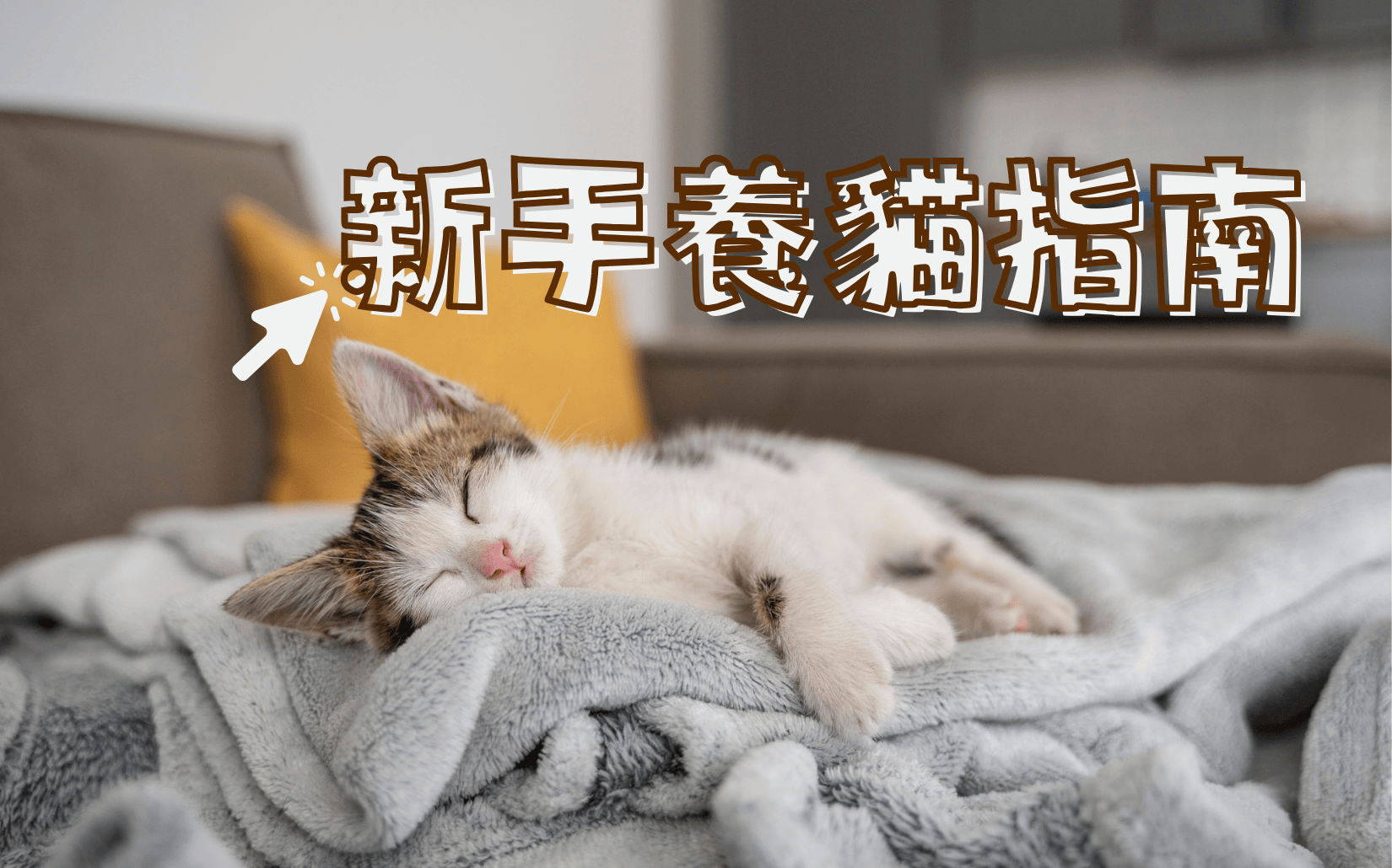 愛寵專區
